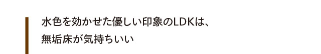 収納と動線へのこだわりで、すっきり暮らせる住まいが完成