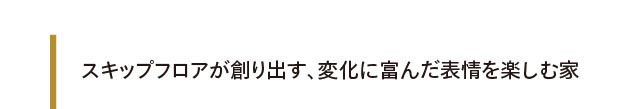 スキップフロアが創り出す、変化に富んだ表情を楽しむ家