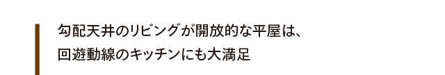 勾配天井が開放的な平屋は、小屋裏空間の活用で収納も十分