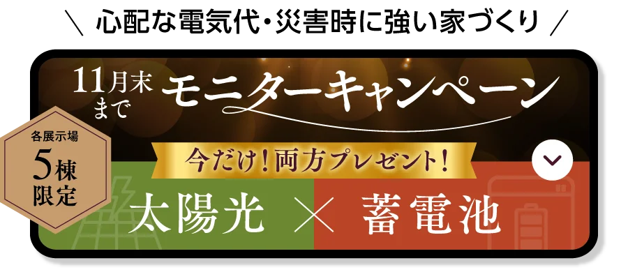 N-ees新仕様発売記念CP