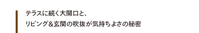 テラスに続く大開口と、リビング＆玄関の吹抜が気持ちよさの秘密