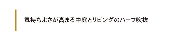 気持ちよさが高まる中庭とリビングのハーフ吹抜